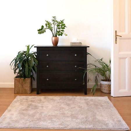 Central Szeged Apartment Екстериор снимка
